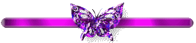 barre violet papillon.gif