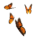 papillon3.gif